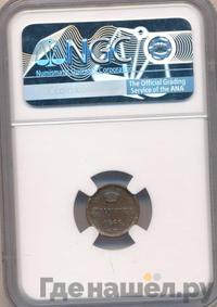 Полушка 1866 года ЕМ