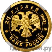 25 рублей 1993 года ММД