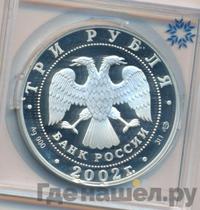 3 рубля 2002 года СПМД