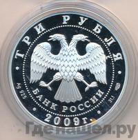 3 рубля 2009 года СПМД
