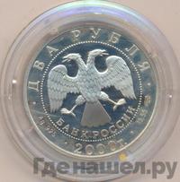 2 рубля 2000 года СПМД
