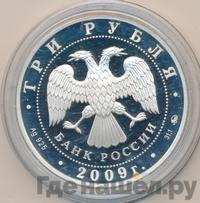 3 рубля 2009 года ММД