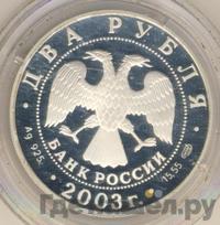 2 рубля 2003 года СПМД