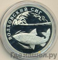 1 рубль 2005 года СПМД