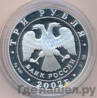 3 рубля 2002 года СПМД