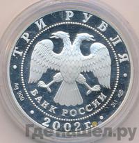 3 рубля 2002 года СПМД