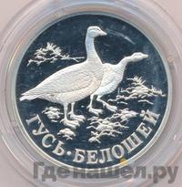 1 рубль 1998 года СПМД