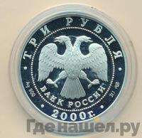3 рубля 2000 года СПМД