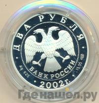 2 рубля 2002 года СПМД