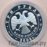 3 рубля 2009 года СПМД