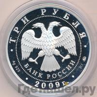 3 рубля 2009 года ММД