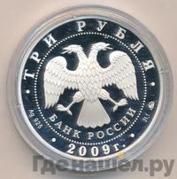 3 рубля 2009 года ММД