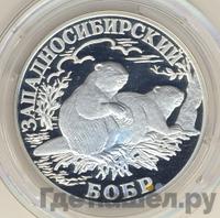 1 рубль 2001 года СПМД