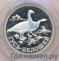 1 рубль 1998 года СПМД