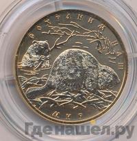 100 рублей 2008 года  Золото Сохраним наш мир Речной бобр