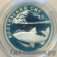 1 рубль 2005 года СПМД