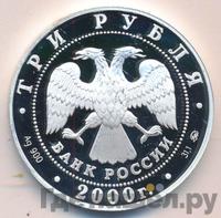 3 рубля 2000 года ММД