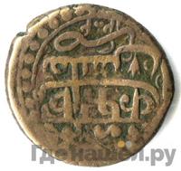 Полубисти 1781 года