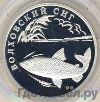 1 рубль 2005 года СПМД