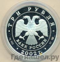3 рубля 2002 года СПМД
