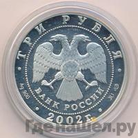 3 рубля 2002 года СПМД