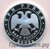 3 рубля 2002 года СПМД