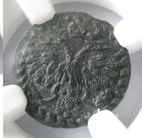 Полушка 1719 года