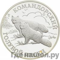 1 рубль 2003 года СПМД