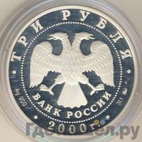 3 рубля 2000 года ММД