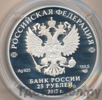 25 рублей 2017 года СПМД