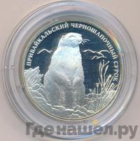 2 рубля 2008 года СПМД