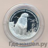 2 рубля 2008 года СПМД