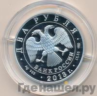 2 рубля 2013 года СПМД