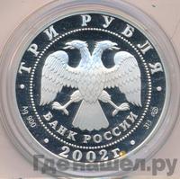 3 рубля 2002 года СПМД