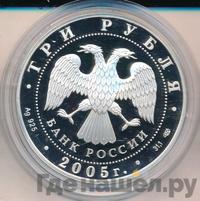 3 рубля 2005 года СПМД