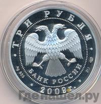 3 рубля 2009 года СПМД