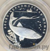 2 рубля 2008 года СПМД