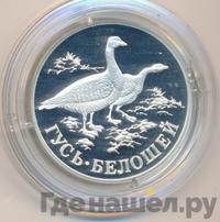 1 рубль 1998 года СПМД