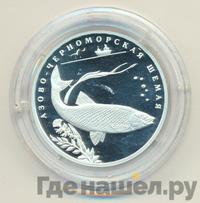 2 рубля 2008 года СПМД