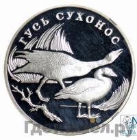 1 рубль 2006 года СПМД