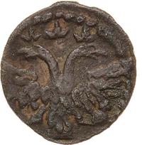 Полушка 1719 года