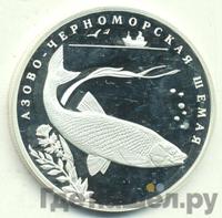 2 рубля 2008 года СПМД