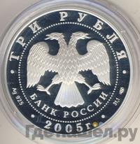 3 рубля 2005 года СПМД