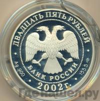 25 рублей 2002 года СПМД