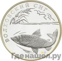 1 рубль 2005 года СПМД