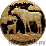 Каталог монет Юбилейные 92-19