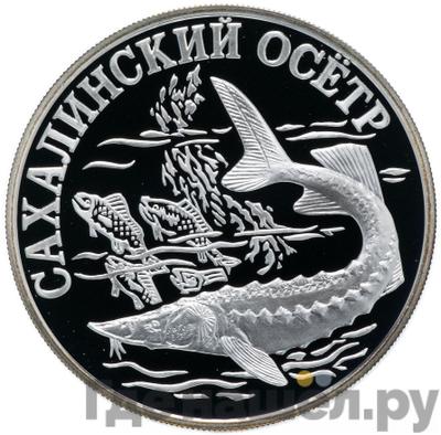 Каталог монет Юбилейные 92-19