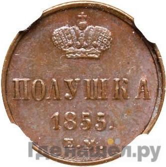 Полушка 1855 года ЕМ