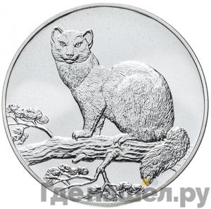 Каталог монет Юбилейные 92-19