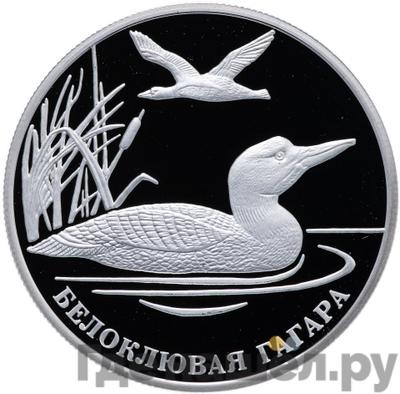 Каталог монет Юбилейные 92-19